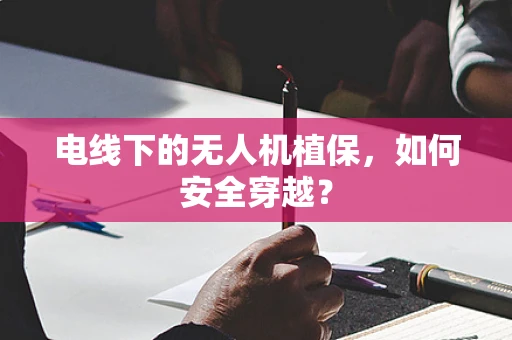 电线下的无人机植保，如何安全穿越？