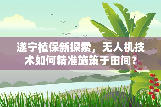 遂宁植保新探索，无人机技术如何精准施策于田间？
