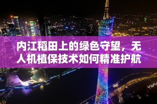内江稻田上的绿色守望，无人机植保技术如何精准护航？