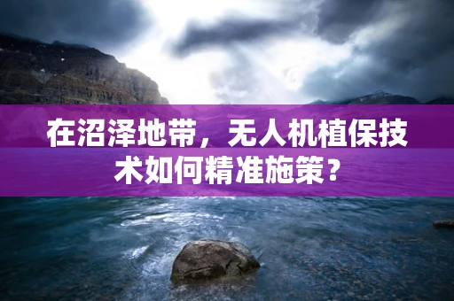 在沼泽地带，无人机植保技术如何精准施策？