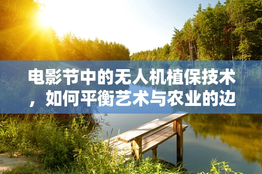 电影节中的无人机植保技术，如何平衡艺术与农业的边界？
