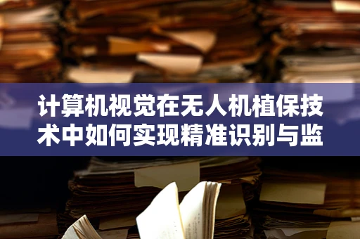 计算机视觉在无人机植保技术中如何实现精准识别与监测？