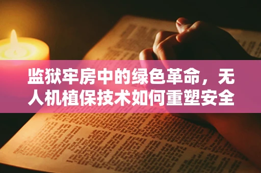 监狱牢房中的绿色革命，无人机植保技术如何重塑安全与生态平衡？