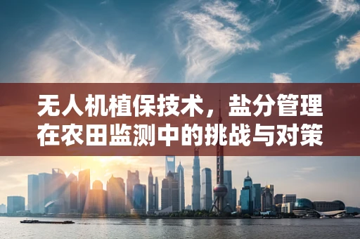 无人机植保技术，盐分管理在农田监测中的挑战与对策