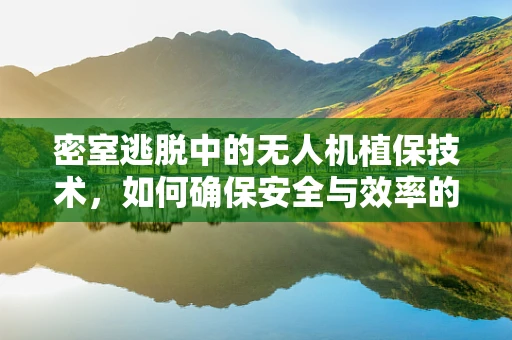 密室逃脱中的无人机植保技术，如何确保安全与效率的双重保障？