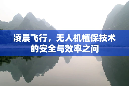 凌晨飞行，无人机植保技术的安全与效率之问