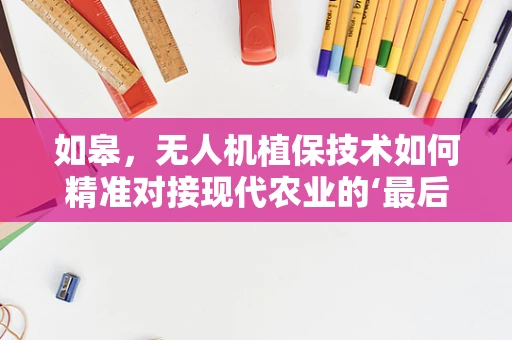 如皋，无人机植保技术如何精准对接现代农业的‘最后一公里’？