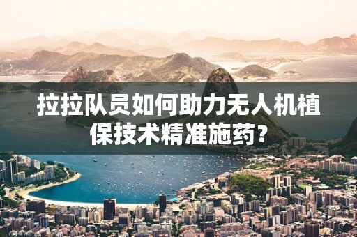 拉拉队员如何助力无人机植保技术精准施药？