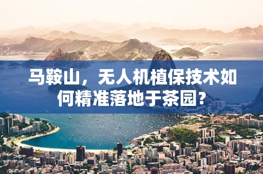 马鞍山，无人机植保技术如何精准落地于茶园？