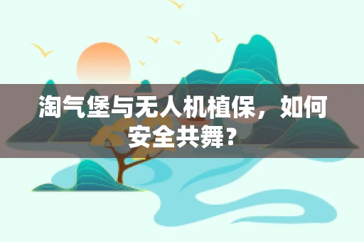 淘气堡与无人机植保，如何安全共舞？