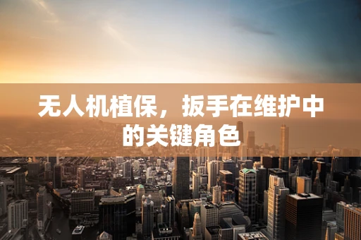 无人机植保，扳手在维护中的关键角色