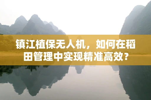 镇江植保无人机，如何在稻田管理中实现精准高效？