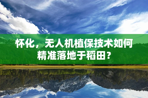 怀化，无人机植保技术如何精准落地于稻田？