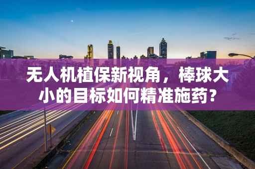 无人机植保新视角，棒球大小的目标如何精准施药？