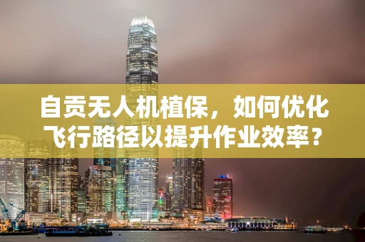 自贡无人机植保，如何优化飞行路径以提升作业效率？