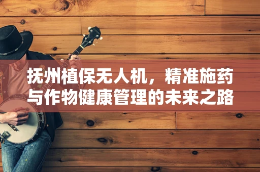 抚州植保无人机，精准施药与作物健康管理的未来之路？