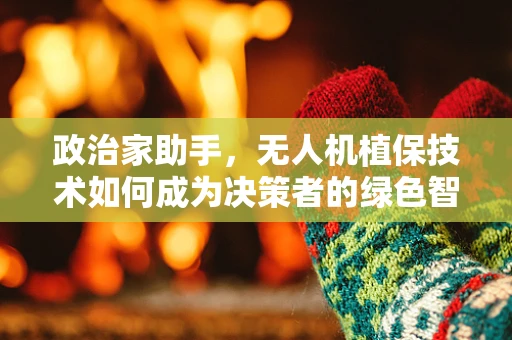 政治家助手，无人机植保技术如何成为决策者的绿色智囊？