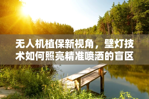 无人机植保新视角，壁灯技术如何照亮精准喷洒的盲区？