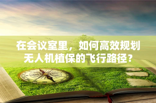 在会议室里，如何高效规划无人机植保的飞行路径？