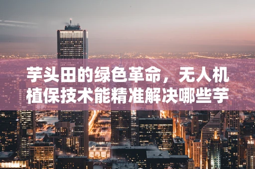 芋头田的绿色革命，无人机植保技术能精准解决哪些芋头生长难题？