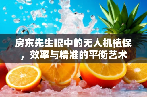 房东先生眼中的无人机植保，效率与精准的平衡艺术