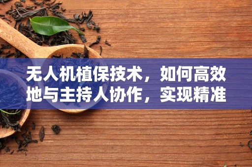 无人机植保技术，如何高效地与主持人协作，实现精准喷洒？