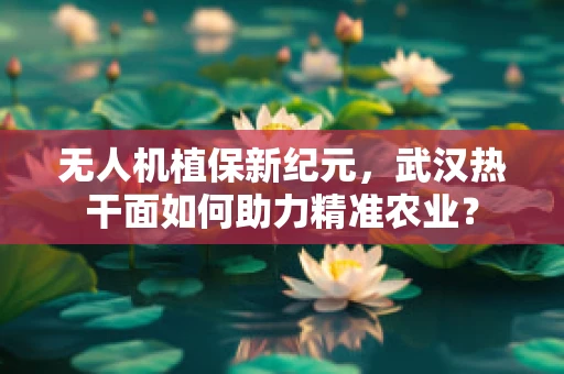 无人机植保新纪元，武汉热干面如何助力精准农业？