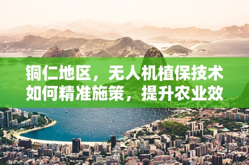 铜仁地区，无人机植保技术如何精准施策，提升农业效率？