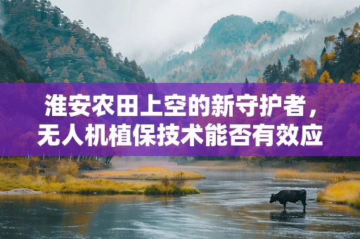 淮安农田上空的新守护者，无人机植保技术能否有效应对农业挑战？