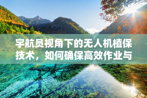 宇航员视角下的无人机植保技术，如何确保高效作业与安全保障？