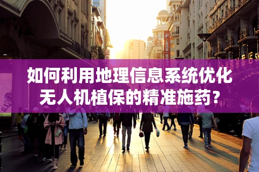 如何利用地理信息系统优化无人机植保的精准施药？