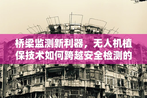 桥梁监测新利器，无人机植保技术如何跨越安全检测的‘鸿沟’？