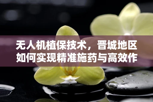 无人机植保技术，晋城地区如何实现精准施药与高效作业的平衡？