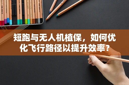 短跑与无人机植保，如何优化飞行路径以提升效率？