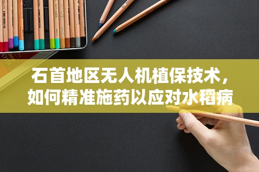 石首地区无人机植保技术，如何精准施药以应对水稻病虫害？
