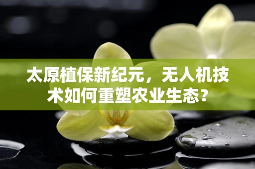 太原植保新纪元，无人机技术如何重塑农业生态？
