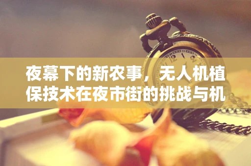 夜幕下的新农事，无人机植保技术在夜市街的挑战与机遇