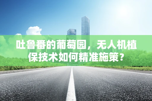 吐鲁番的葡萄园，无人机植保技术如何精准施策？