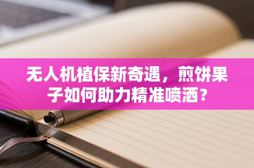 无人机植保新奇遇，煎饼果子如何助力精准喷洒？