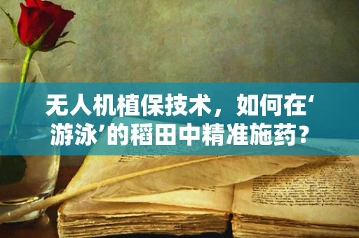 无人机植保技术，如何在‘游泳’的稻田中精准施药？