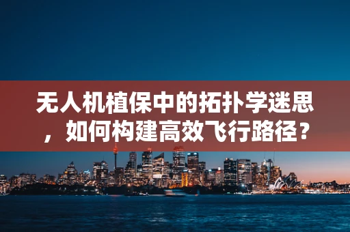 无人机植保中的拓扑学迷思，如何构建高效飞行路径？