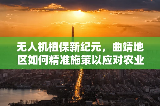 无人机植保新纪元，曲靖地区如何精准施策以应对农业挑战？