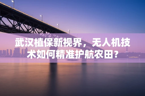武汉植保新视界，无人机技术如何精准护航农田？