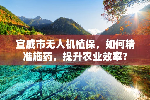 宣威市无人机植保，如何精准施药，提升农业效率？