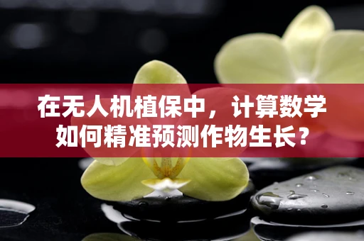 在无人机植保中，计算数学如何精准预测作物生长？