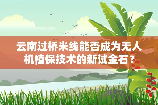 云南过桥米线能否成为无人机植保技术的新试金石？