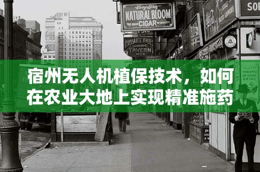 宿州无人机植保技术，如何在农业大地上实现精准施药？