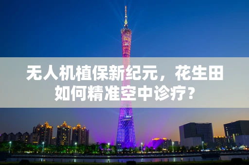 无人机植保新纪元，花生田如何精准空中诊疗？