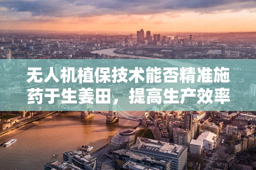 无人机植保技术能否精准施药于生姜田，提高生产效率？