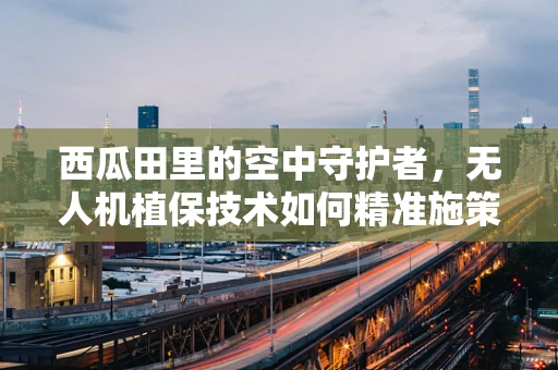 西瓜田里的空中守护者，无人机植保技术如何精准施策？